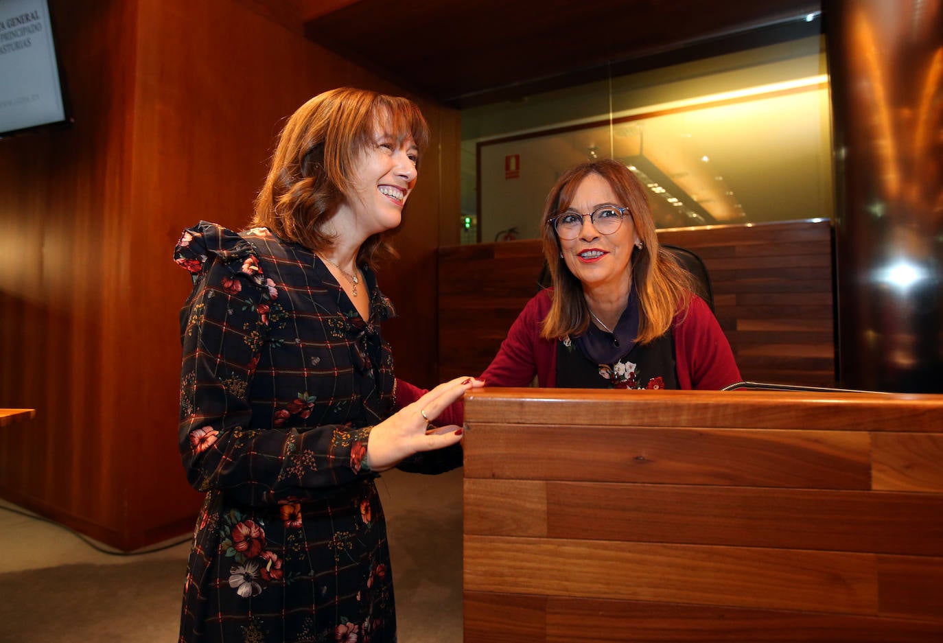 Fotos Los Presupuestos Para Asturias Superan El Debate A La Totalidad